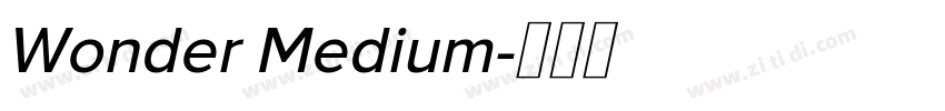 Wonder Medium字体转换